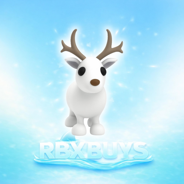 Arctic Reindeer